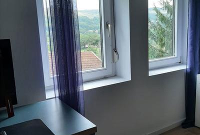 Casă cu 3 camere cu Teren 1500 Mp în Băgaciu - 11