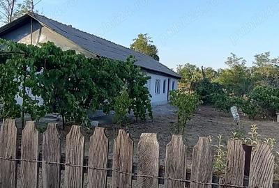 Casă cu 3 camere în Dor Mărunt - 3