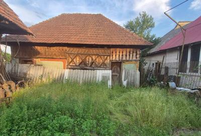 Bargau, casa 30 ari teren - 7