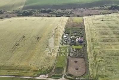 Farmhouse la 14km de Timisoara, teren agricol 1ha - 2