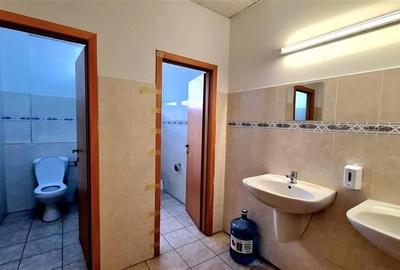 OFERTA !!! Birouri 395 mp, cladire noua Semicentral,parcare privata - 12