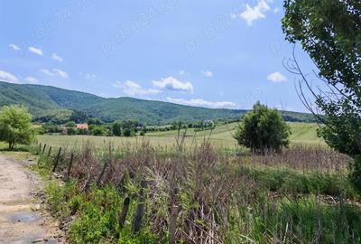 Teren de 7800 mp, în Dobârlău - 7