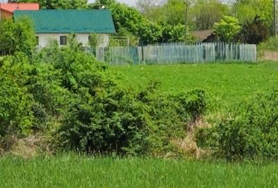 Spațiu comercial, în Catane - 3