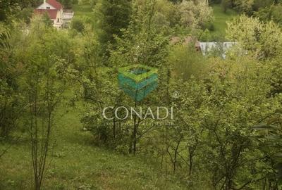 Teren Construcții intravilan de 800 mp, în Exterior Vest - 3