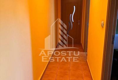 Apartament cu 2 camere decomandat în Șagului - 5