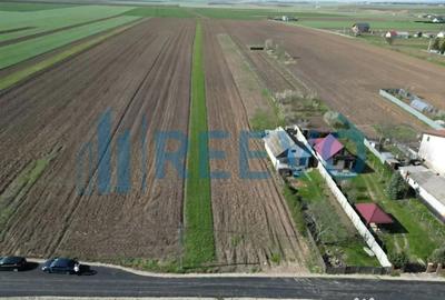 Teren de 10500 mp, în Nicolae Bălcescu - 1