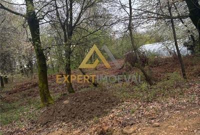 Teren de 1000 mp, în Groși - 8