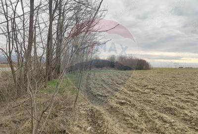 Teren de 12193 mp, în Jena - 4