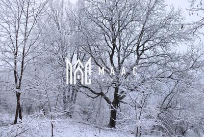 Teren Construcții intravilan de 20000 mp, în Dângești - 34