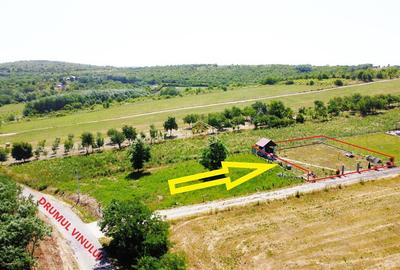 Teren Construcții intravilan de 500 mp, în Sud - 11