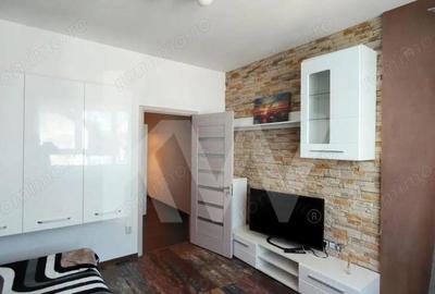 Apartament cu 2 camere decomandat, mobilat în Turnișor - 5