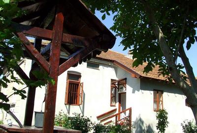 Casă cu 5 camere cu Teren 3610 Mp în Central - 8
