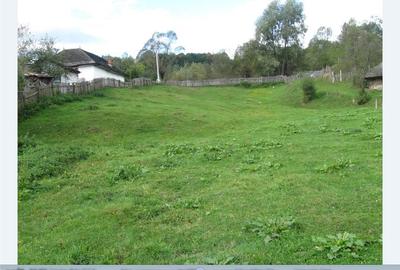 Teren de 2121 mp, în Nucșoara - 3
