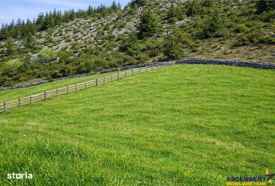 Teren de 6966 mp, în Fundata - 5