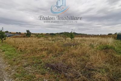 Teren drept 1260 mp, deschidere de 50 m, Loc. Dobreni, Jud Neamt