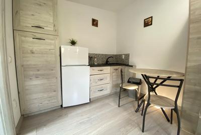 Garsonieră decomandată, mobilată în Podu Roș - 6