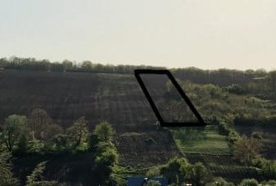Teren de 10500 mp, în Aroneanu - 1