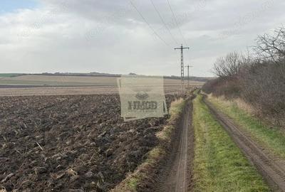 Teren extravilan in EXCLUSIVITATE 20300 mp in Sura Mica - 2