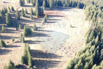 Teren agricol extravilan de 16289 mp, în Coverca - 7