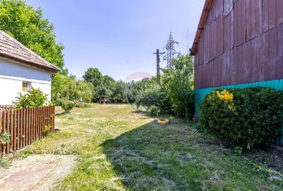 Proprietate versatila cu casa, doua hale si teren generos - 2