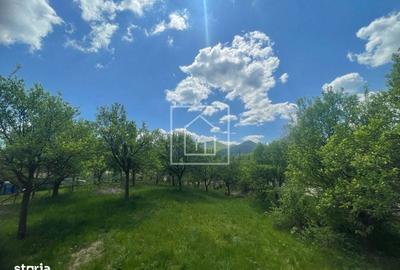 Teren de 1200 mp, în Central - 5