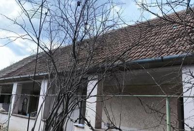 Casă cu 3 camere cu Teren 1439 Mp în Central - 2