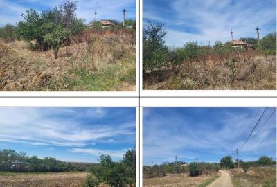 Casă cu 2 camere cu Teren 1691 Mp în Guruieni - 9