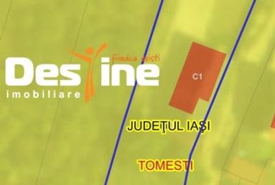 Casă individuală cu 3 camere în Tomești