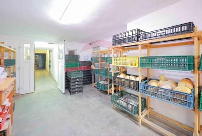 Spațiu comercial, de 550 mp, în Iosia - 9