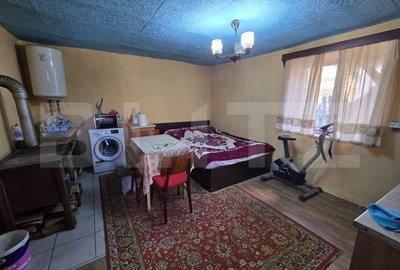 Casa cu farmec rustic, teren de 4887 mp - 7