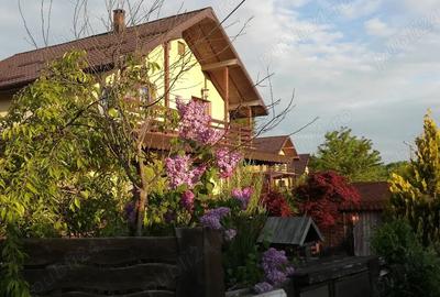 Vila Barnova, Bucium, Sauna, Piscina - 3