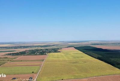 Spațiu comercial, în Frumușani - 5