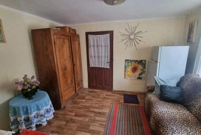 Casă cu 3 camere cu Teren 1900 Mp în Măgura - 10