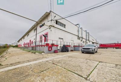 Teren 9.419 mp + hale 7.000 mp – Huși, Vaslui - 2