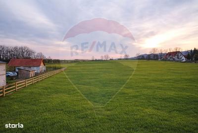Teren de 4000 mp, în Vințu de Jos - 2