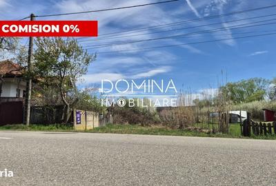 Spațiu comercial, în Curtișoara - 2