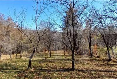 Oportunitate de investi?ie agricola Teren extravilan d - 1