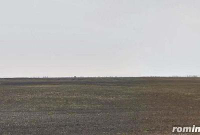 Teren agricol Puiesti ID: R2116028 - 1