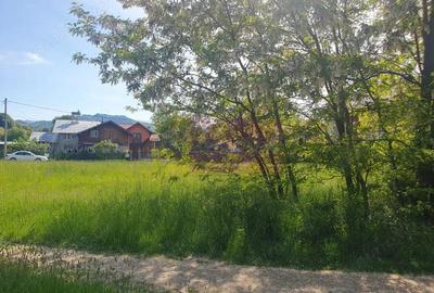 Teren intravilan de vanzare in Breaza - 4