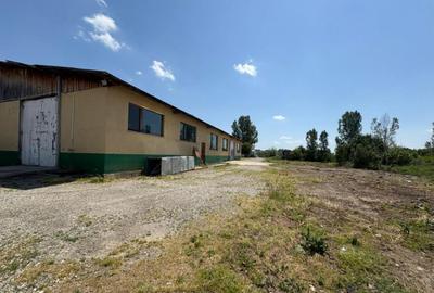 Complex industrial *hala 682 mp + teren 2,5 ha* - Tetila - 3
