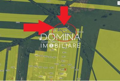 Teren Construcții intravilan de 1184 mp, în Drăguțești - 10