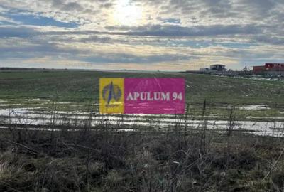 Teren de 4050 mp, în Sud - 3