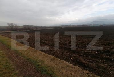 Teren extravilan 21300 mp zona Vintu de Jos - 1