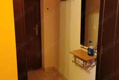 Garsonieră semidecomandată în Lugoj - 4