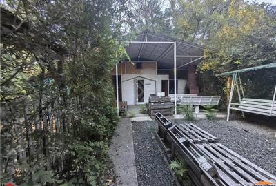 Cabana pe Stradul din Arad aproape de Mures - 5