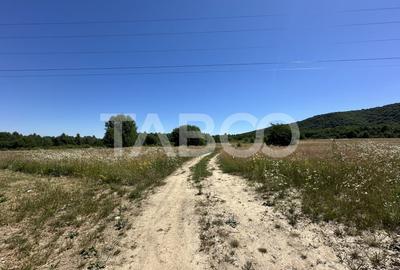 Teren extravilan 1900 mp cu utilitati in apropiere pe Valea Sebesului - 3