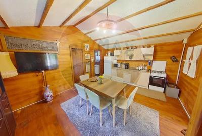 Casa / Vila cu 4 camere de vanzare - 3