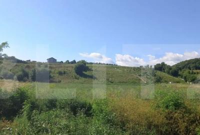 Teren de 3133 mp, în Mănăștur - 2