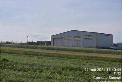 Teren de 6461 mp, în Bunești - 3