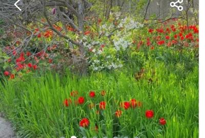 Vila versatila in Joita la pret de Apartament - 9